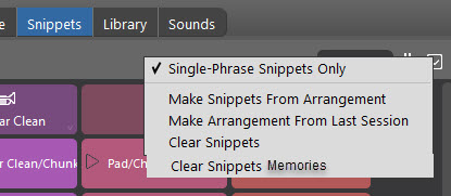 Clear Snippets Memories